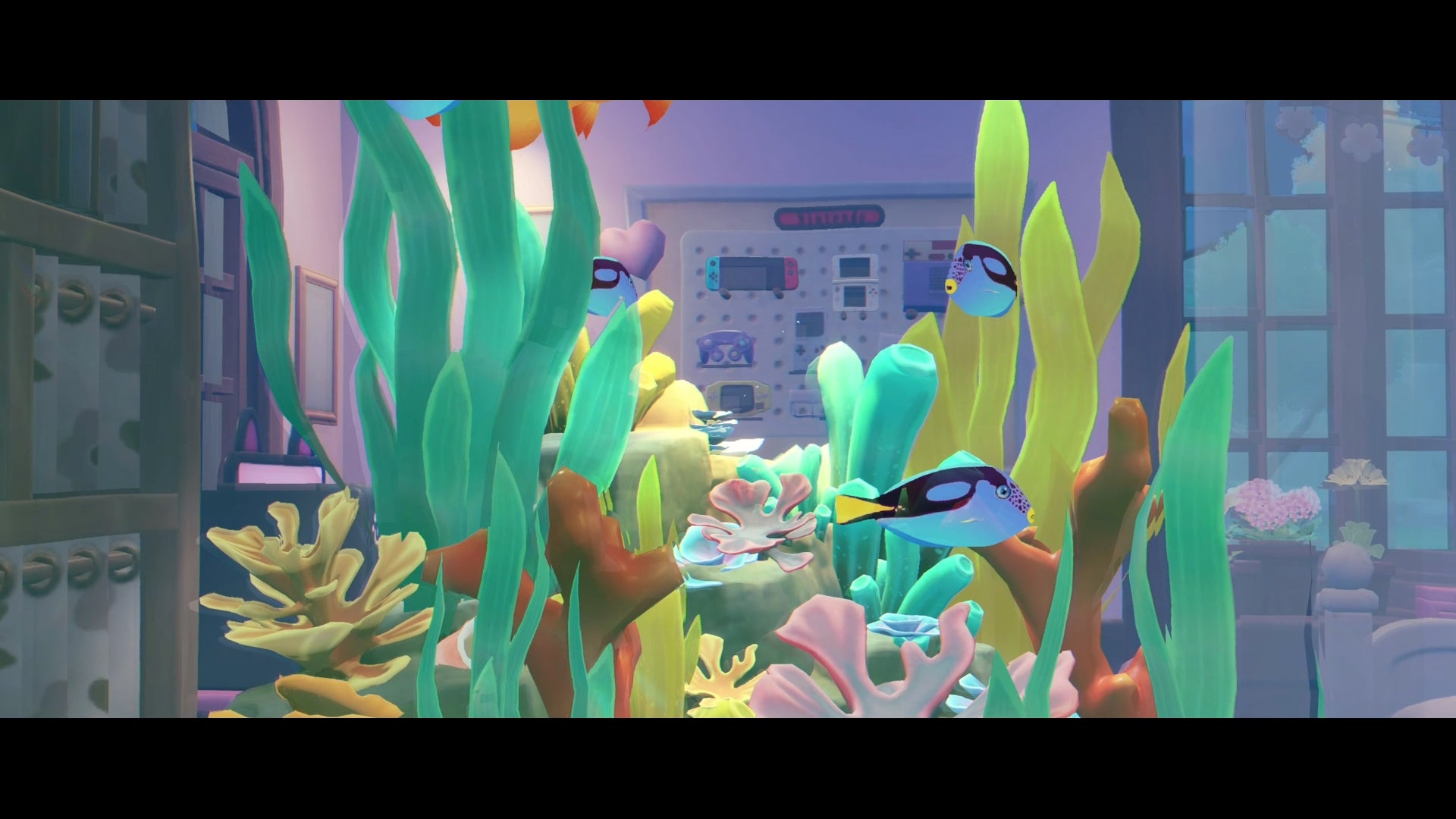 Starsand Island Switch 2