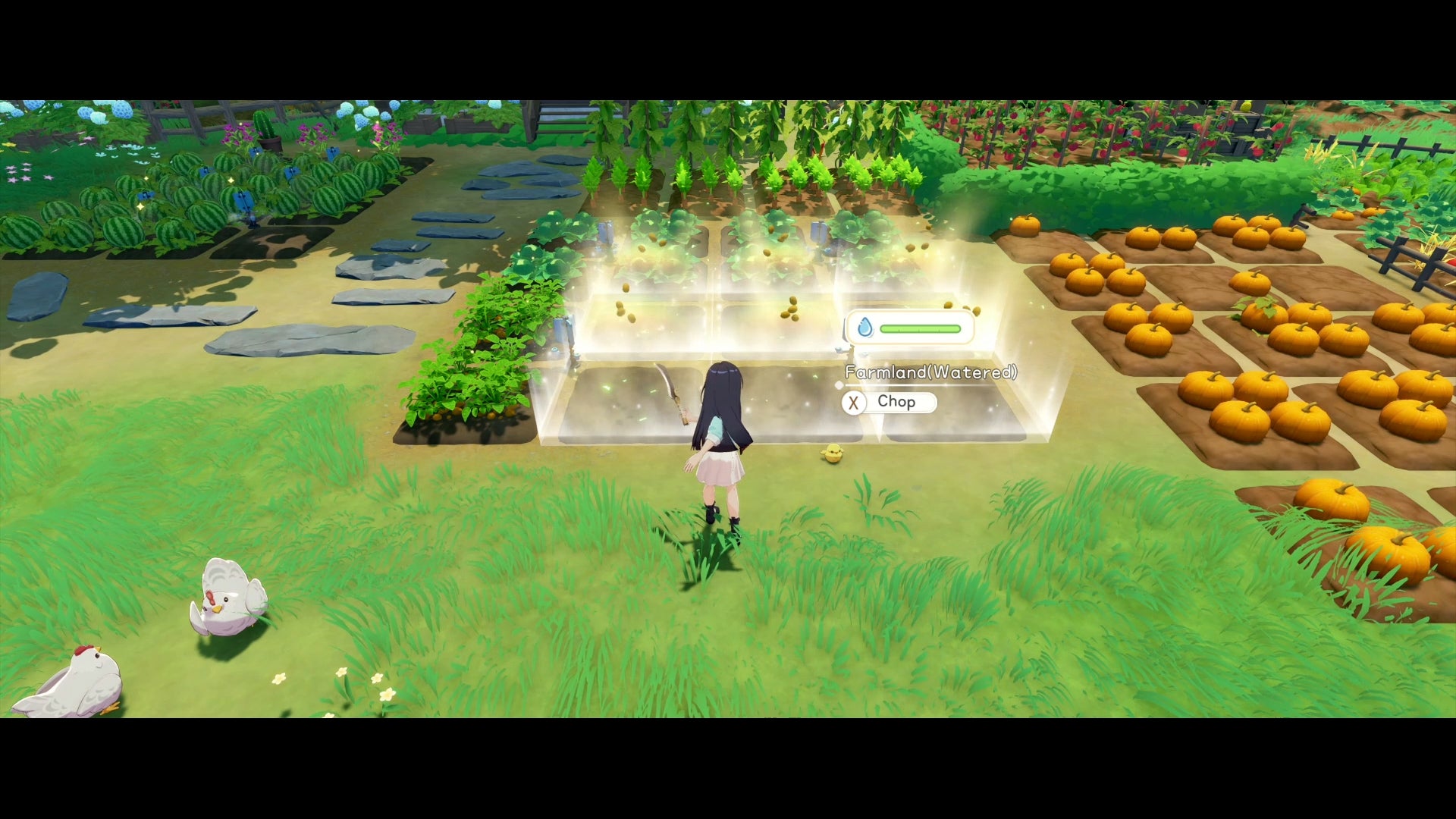 Starsand Island Switch 2