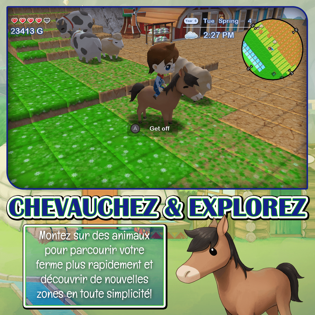 Harvest Moon The Lost Valley + Skytree Village Collector's Edition SWITCH - Jeux Vidéo Physique - NUMSKULL - Shop Just for Games