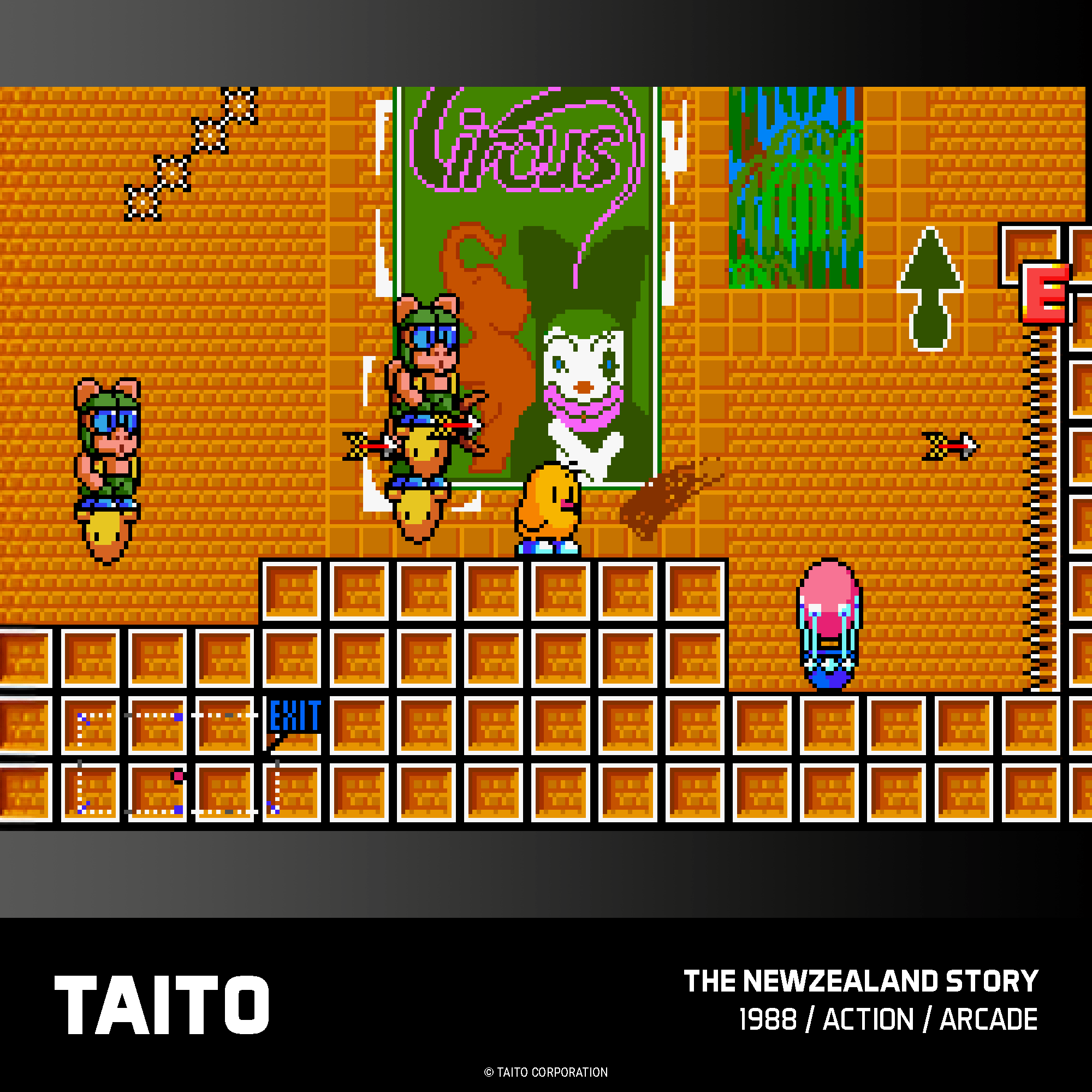 Blaze Evercade - TAITO Arcade Collection 2 - Cartouche n°18 - Jeux Rétro - Evercade - Shop Just for Games