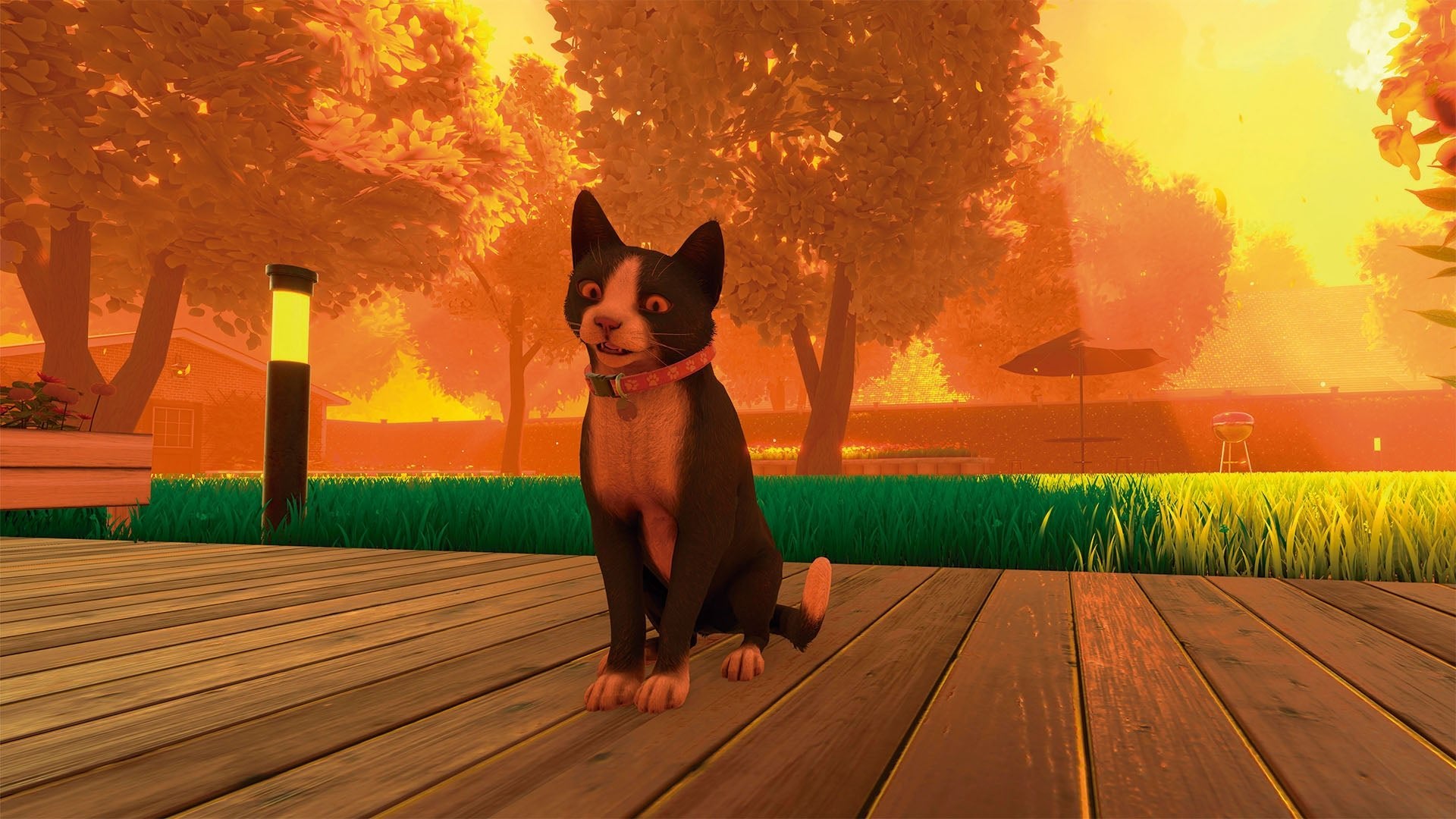 Copycat PS5 - Jeux Vidéo Physique - TESURA - Shop Just for Games