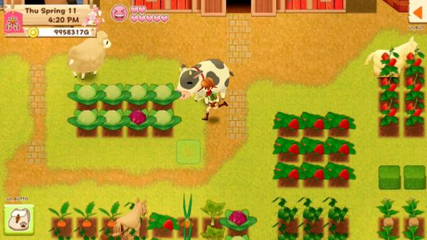 Harvest Moon Nintendo Switch - Jeux Vidéo Physique - RISING STAR - Shop Just for Games
