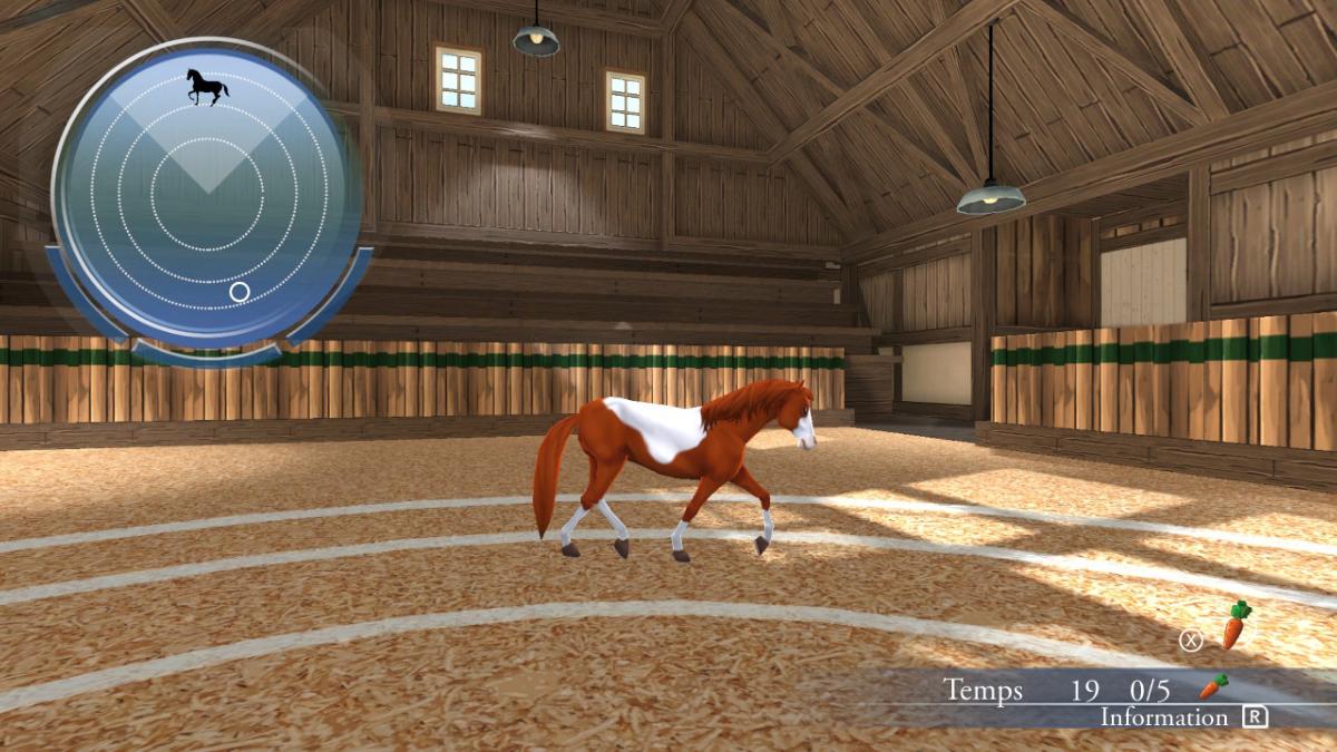 Ma vie avec les chevaux Nintendo SWITCH (Code de téléchargement) - Jeux Vidéo Code de Téléchargement - MINDSCAPE - Shop Just for Games