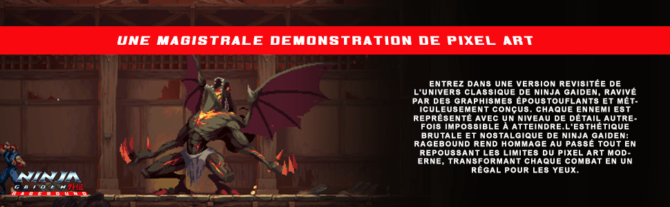 NINJA GAIDEN Ragebound Special Edition SWITCH - Jeux Vidéo Physique - SILVER LINING - Shop Just for Games