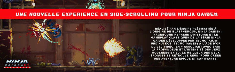 NINJA GAIDEN Ragebound Special Edition SWITCH - Jeux Vidéo Physique - SILVER LINING - Shop Just for Games
