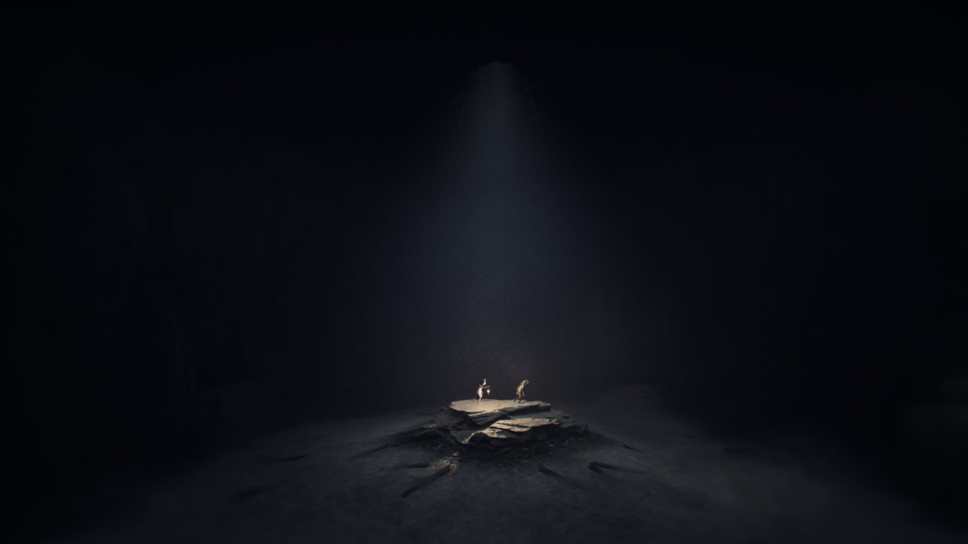 Reanimal Nintendo Switch 2 - Jeux Vidéo Physique - THQ NORDIC GAMES - Shop Just for Games