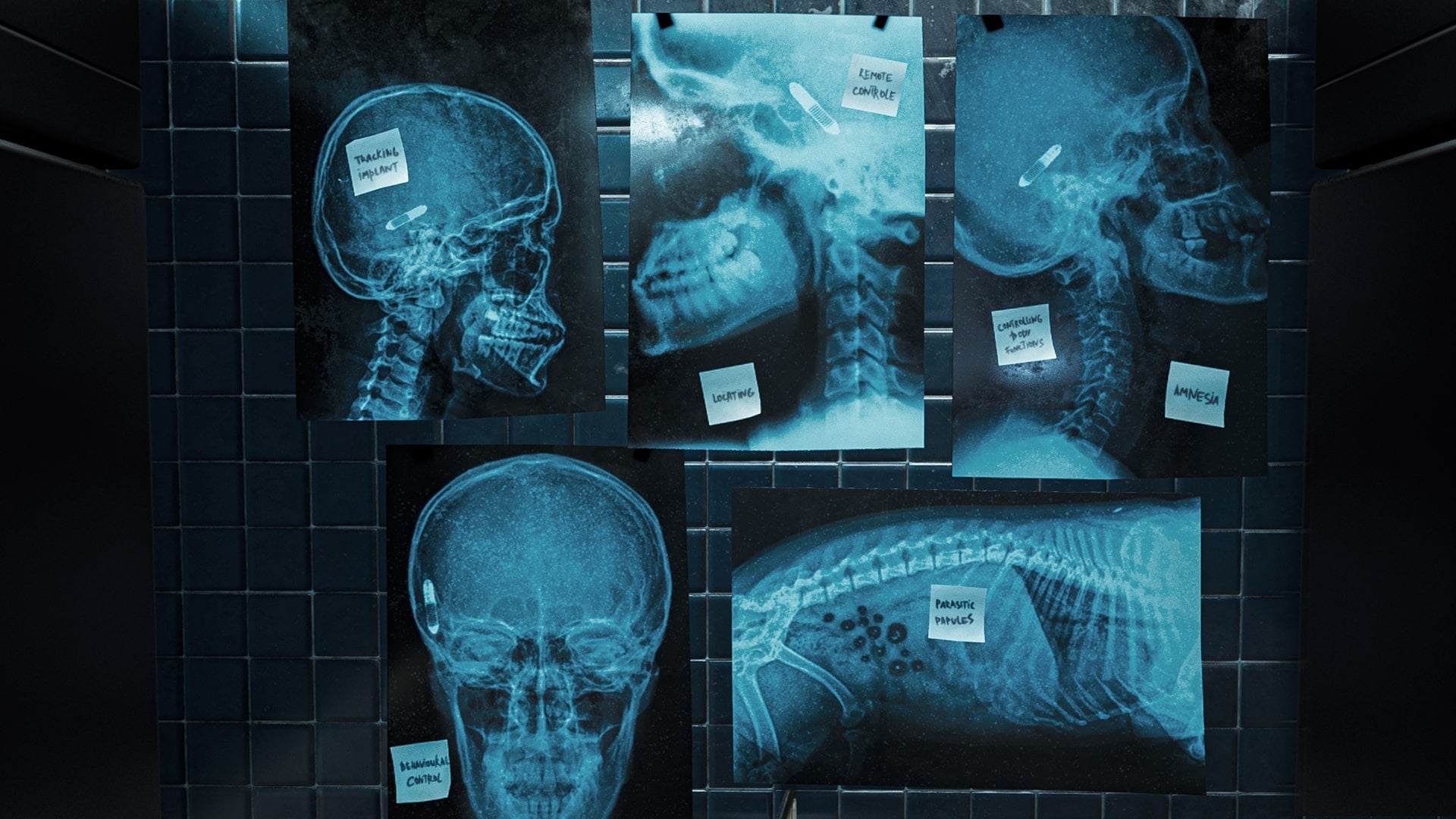 They Are Here Alien Abduction Horror PS5 - Jeux Vidéo Physique - PQUBE - Shop Just for Games