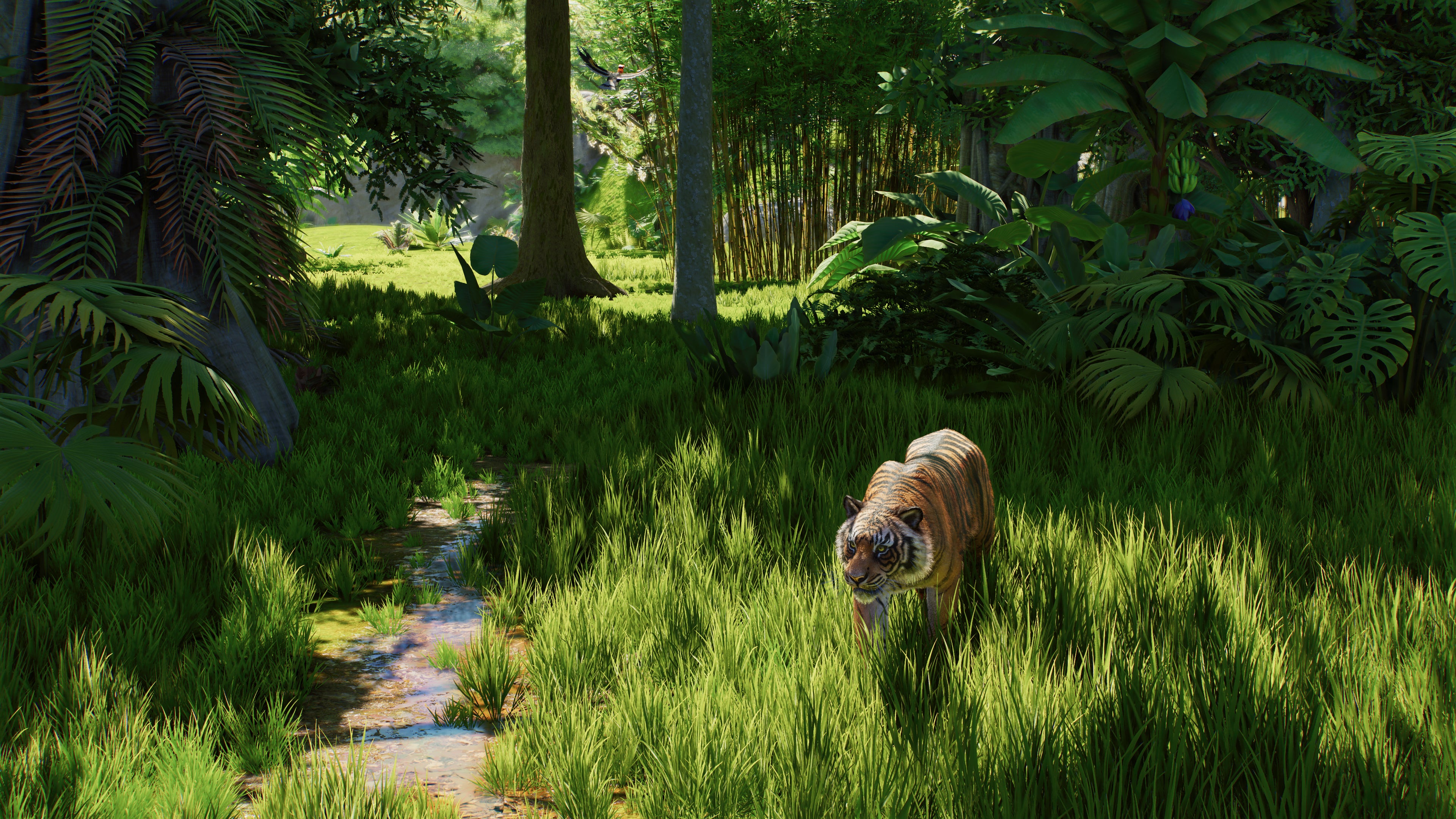 Planet Zoo 2 Xbox Series X