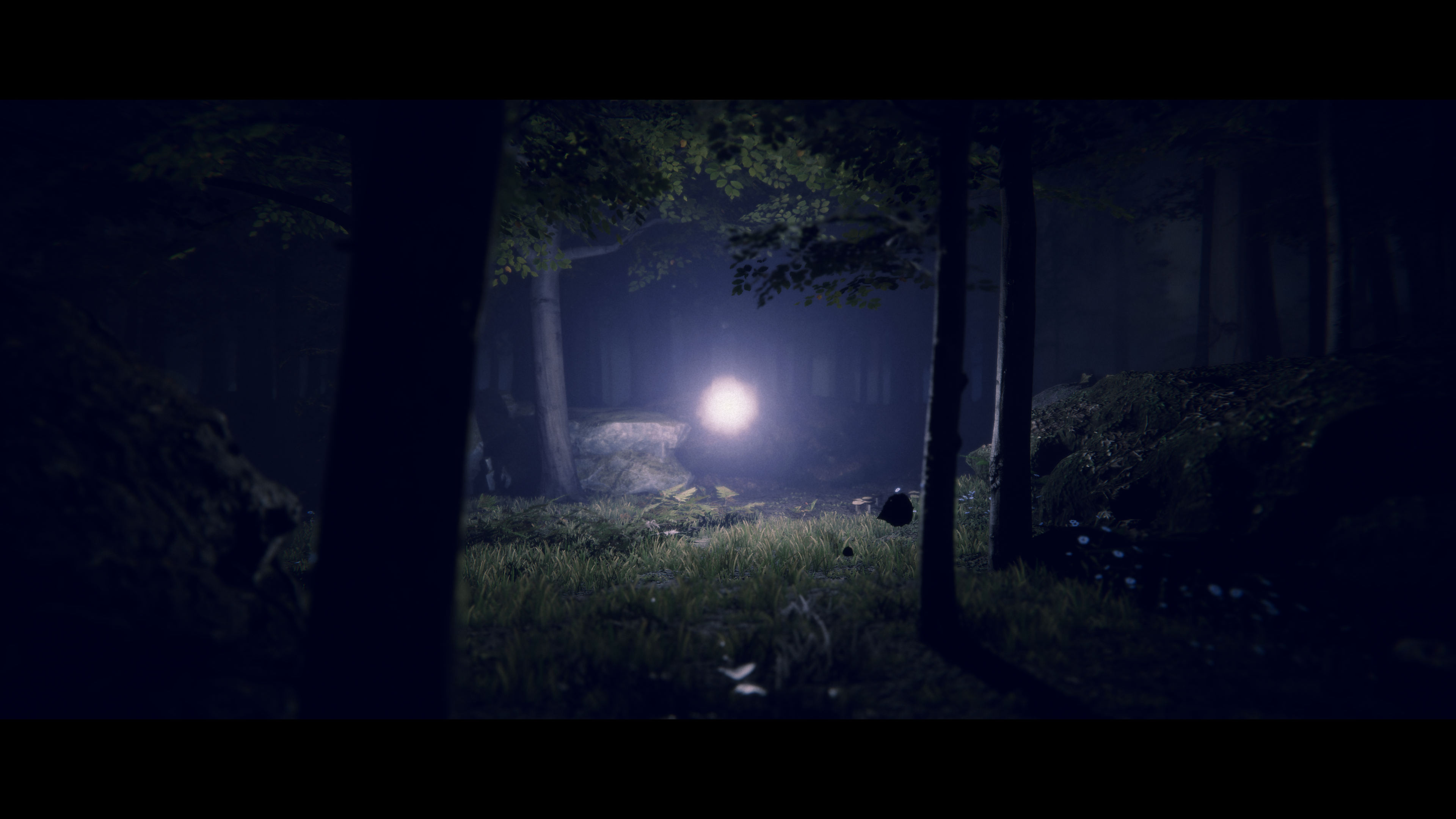 Project Songbird PS5