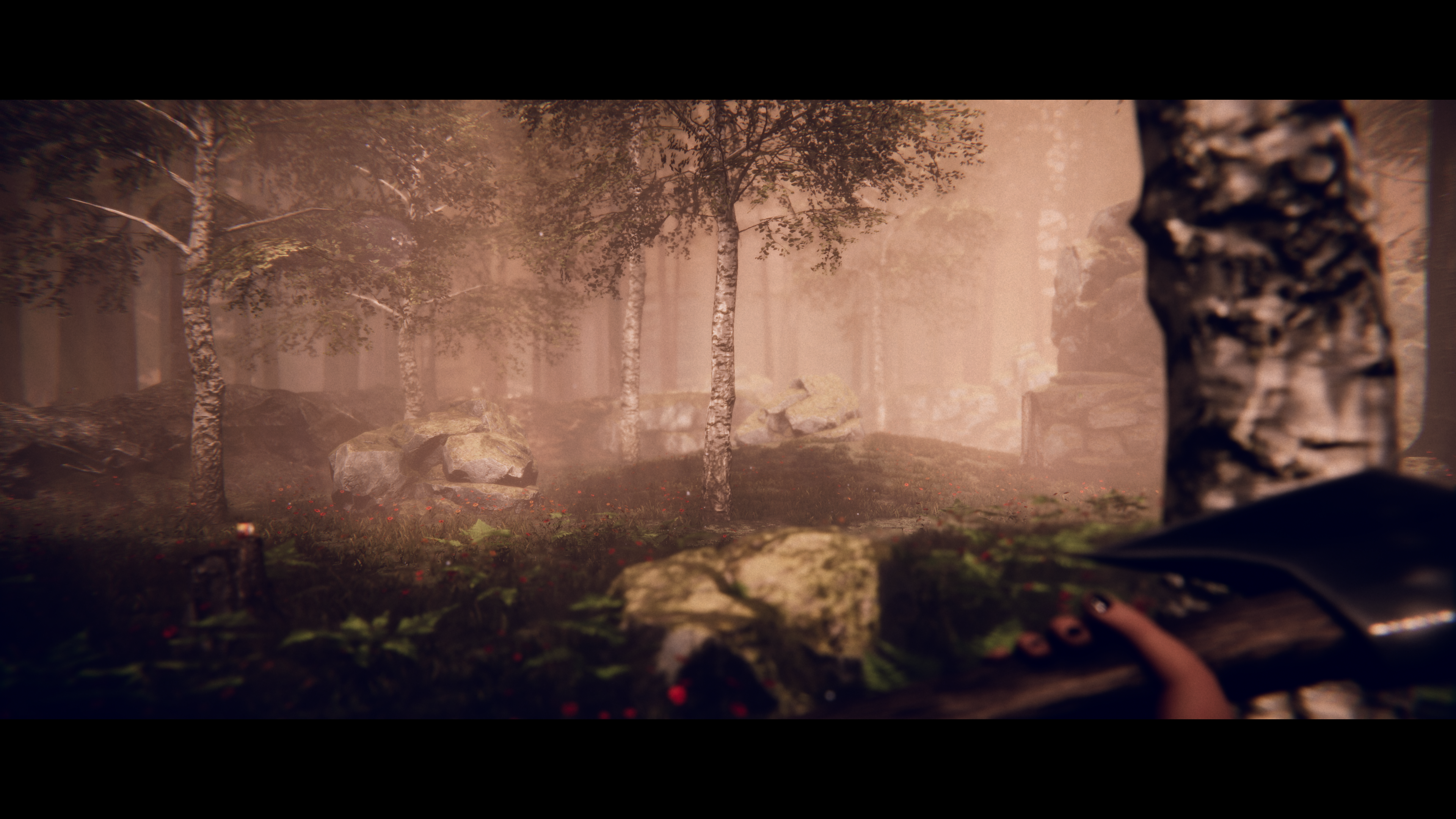 Project Songbird PS5