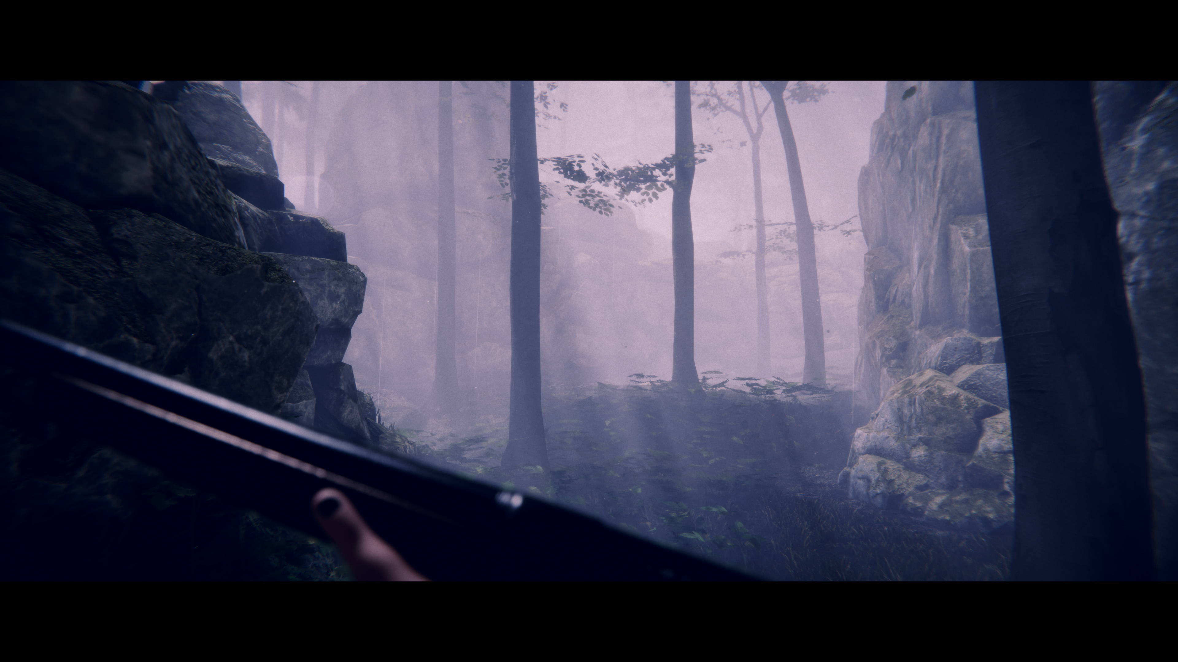 Project Songbird PS5