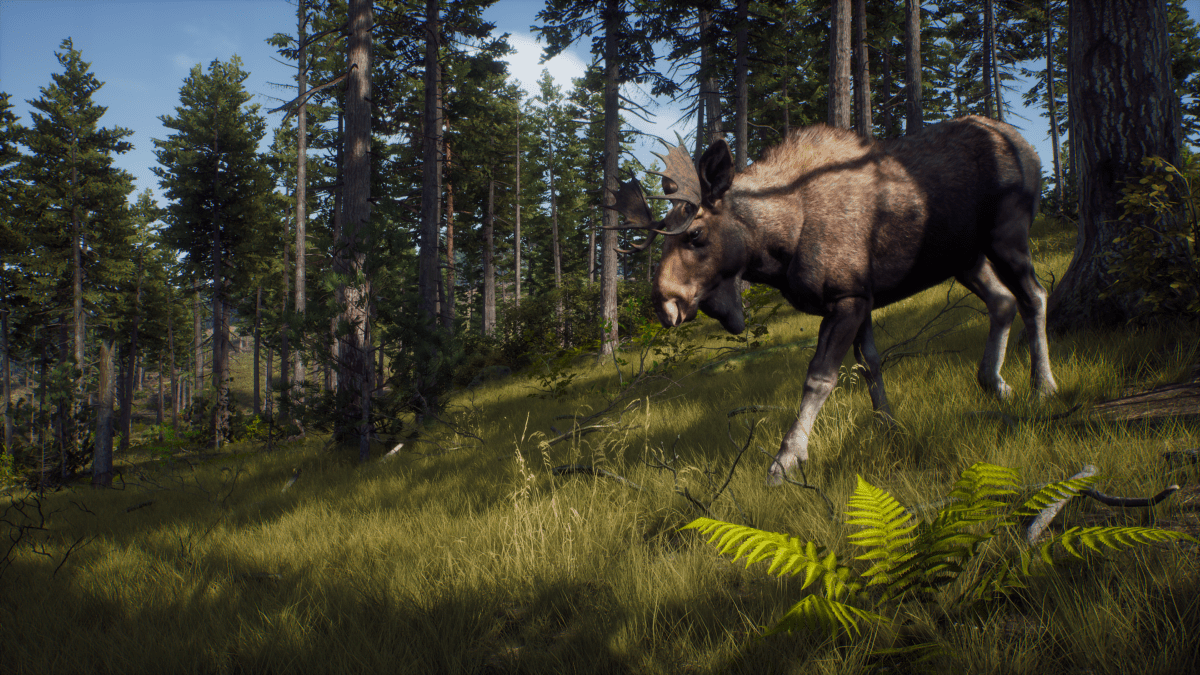Way of the Hunter Xbox Series X - Jeux Vidéo Physique - THQ NORDIC GAMES - Shop Just for Games