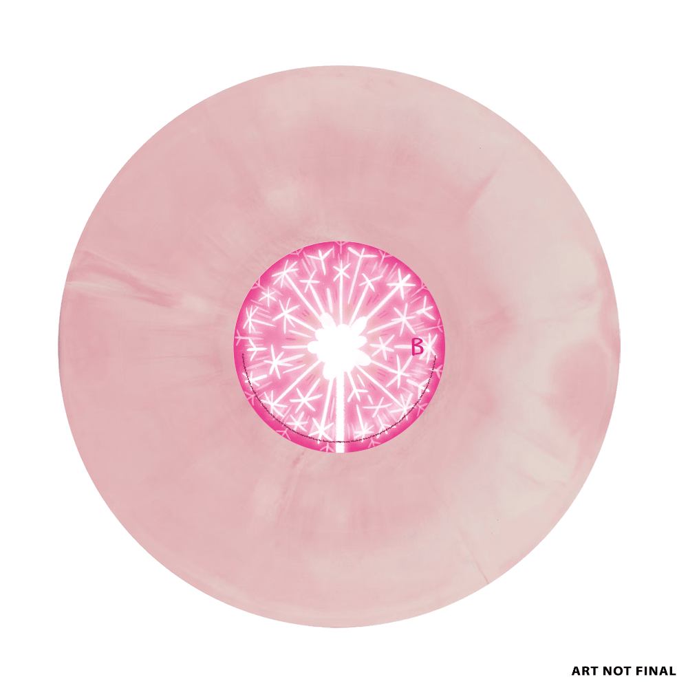 Adventure Time: Fionna and Cake Soundtrack from the Animated Series Vinyle 2LP - Vinyles - iam8bit - Shop Just for Games