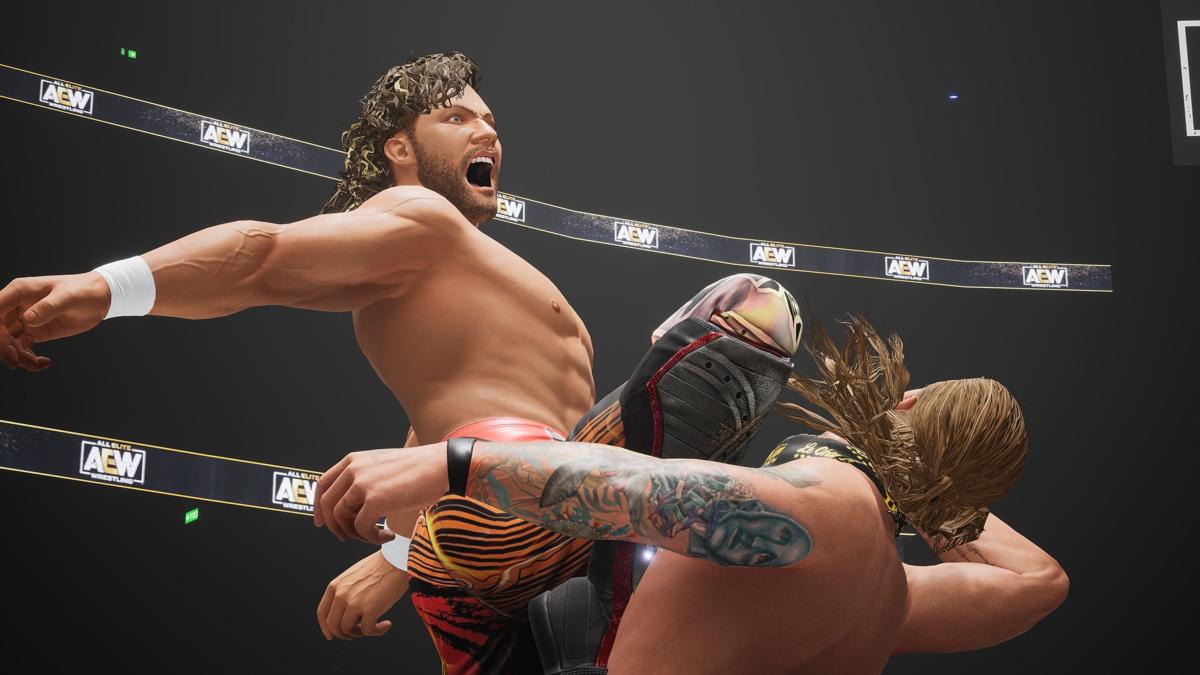 AEW All Elite Wrestling Fight Forever PS5 - Jeux Vidéo Physique - THQ NORDIC GAMES - Shop Just for Games