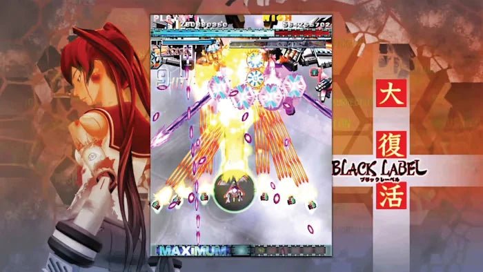 DoDonPachi Resurrection Nintendo Switch
