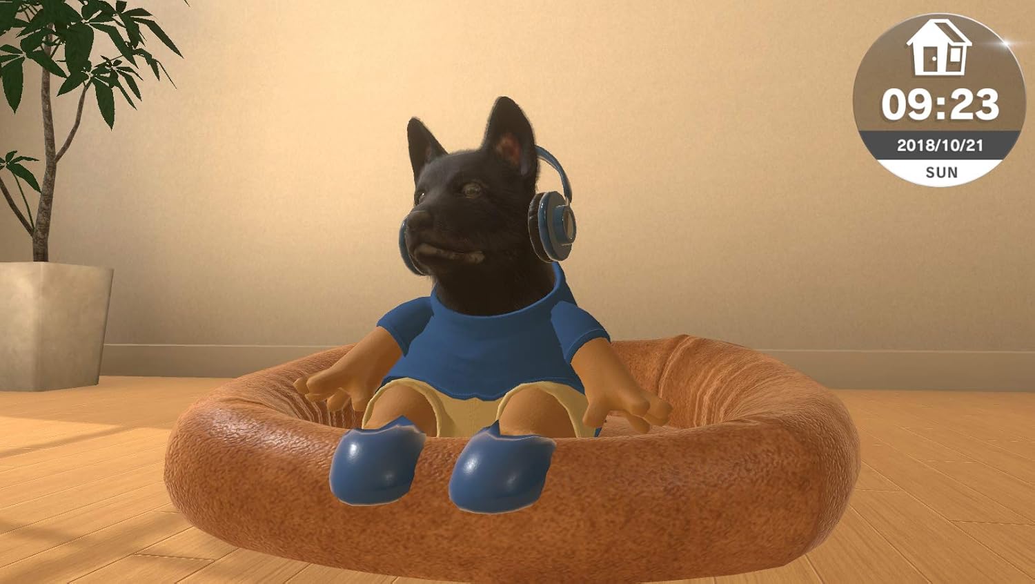Little Friends Dogs and Cats SWITCH (Code de téléchargement) - Jeux Vidéo Code de Téléchargement - Fireshine - Shop Just for Games