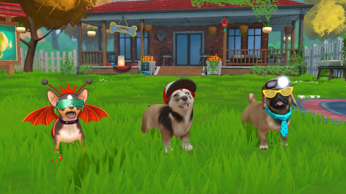 Little Friends Puppy Island Nintendo SWITCH - Jeux Vidéo Physique - Fireshine - Shop Just for Games