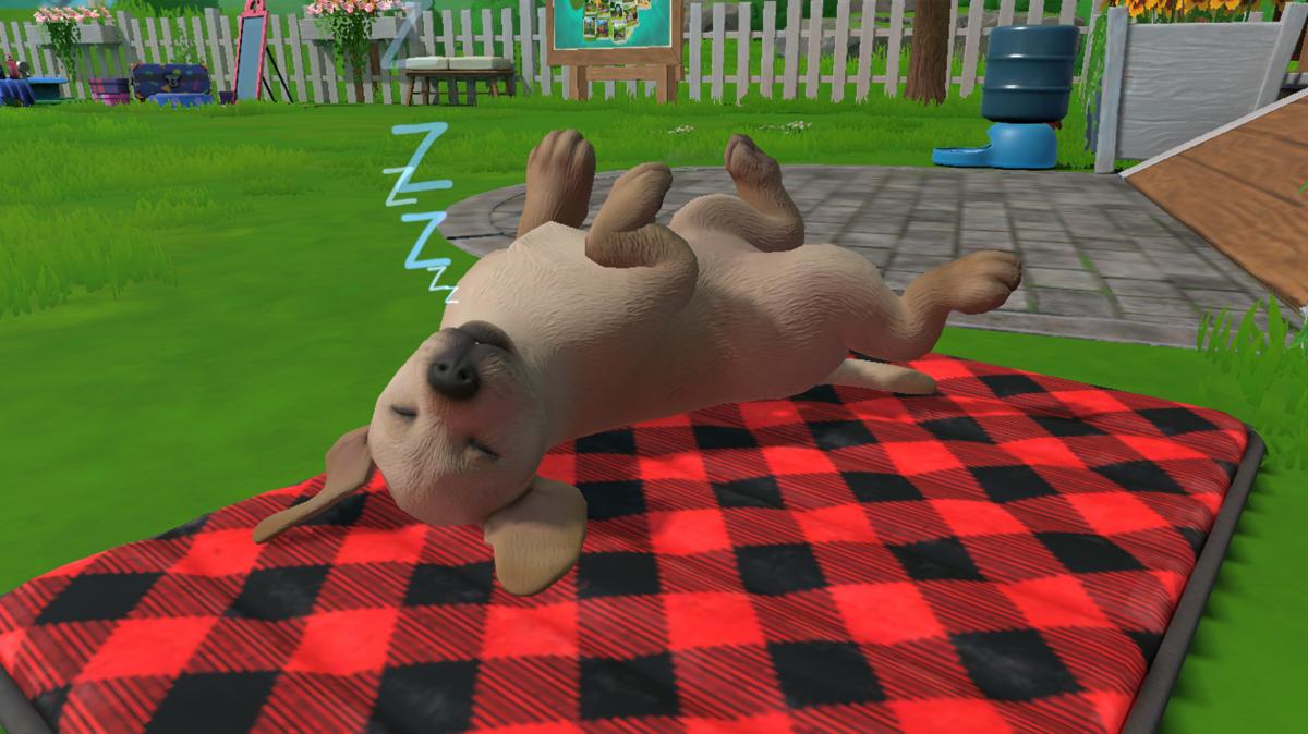 Little Friends Puppy Island Nintendo SWITCH - Jeux Vidéo Physique - Fireshine - Shop Just for Games
