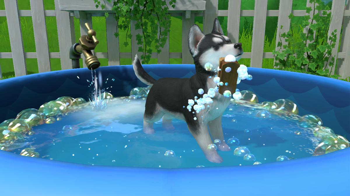 Little Friends Puppy Island Nintendo SWITCH - Jeux Vidéo Physique - Fireshine - Shop Just for Games