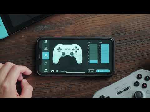 8BitDo PRO 2 Gamepad Hall Effect - Gray New Edition