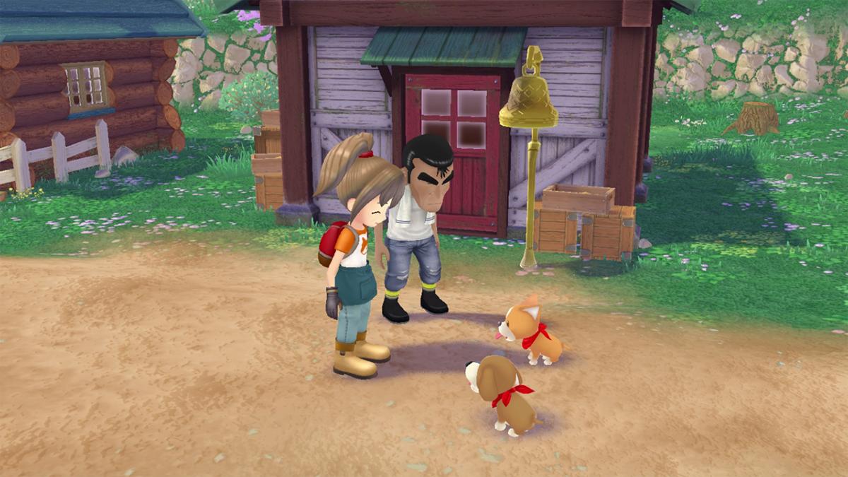 Story of Seasons: A Wonderful Life PS5 - Jeux Vidéo Physique - MARVELOUS - Shop Just for Games