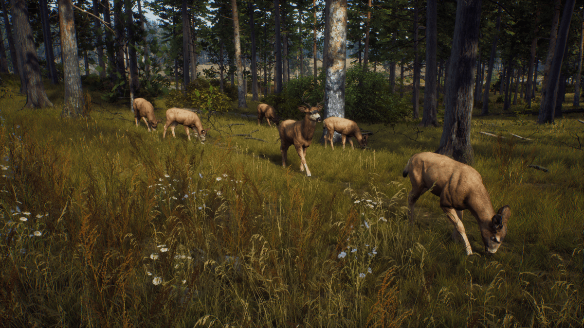 Way of the Hunter PS5 - Jeux Vidéo Physique - THQ NORDIC GAMES - Shop Just for Games
