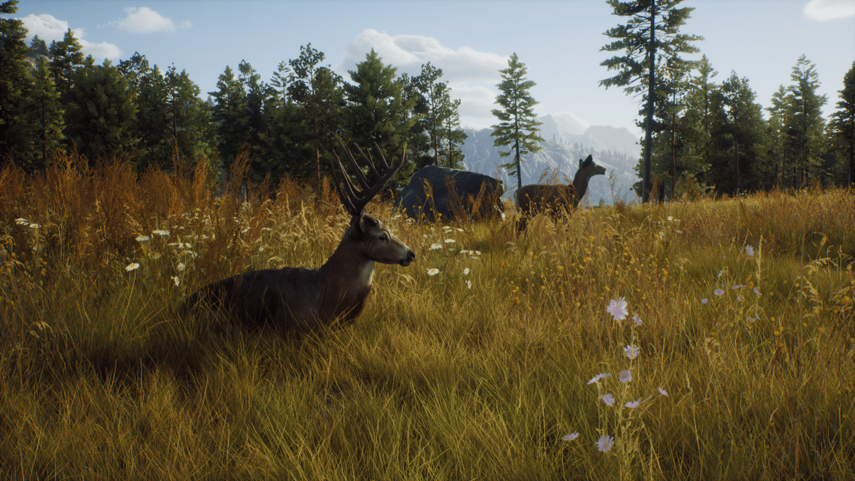 Way of the Hunter PS5 - Jeux Vidéo Physique - THQ NORDIC GAMES - Shop Just for Games