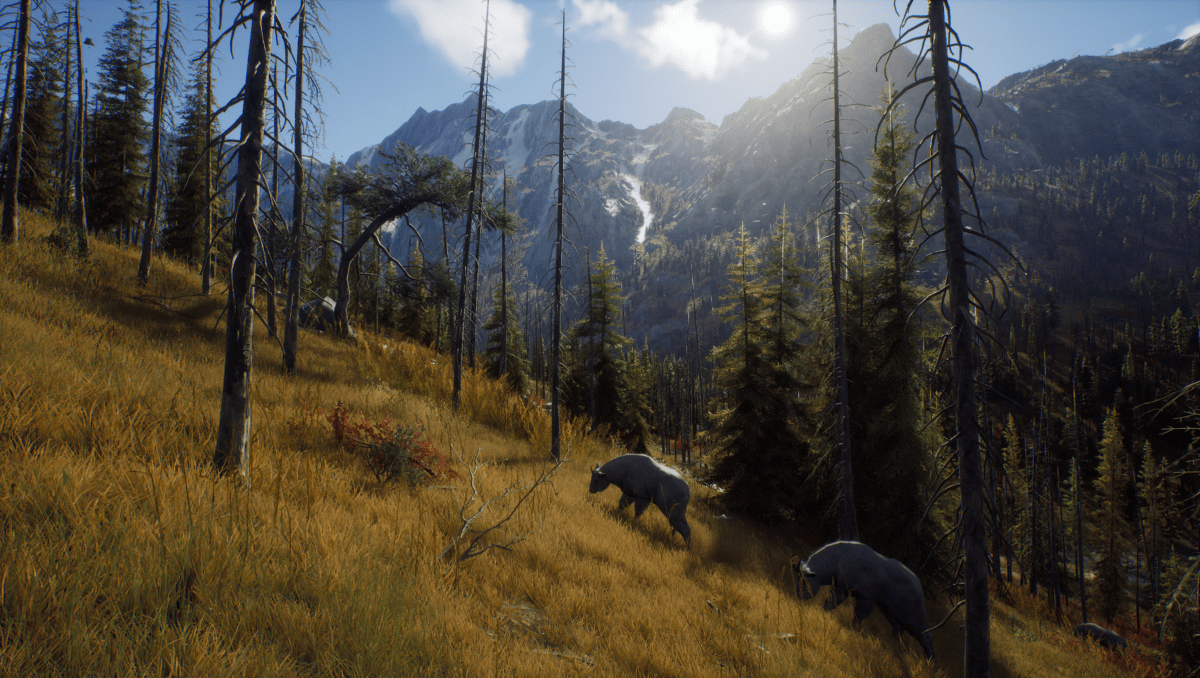 Way of the Hunter PS5 - Jeux Vidéo Physique - THQ NORDIC GAMES - Shop Just for Games